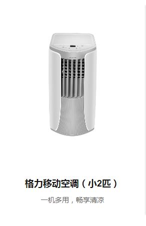 格力移動空調(diào)(小2匹)